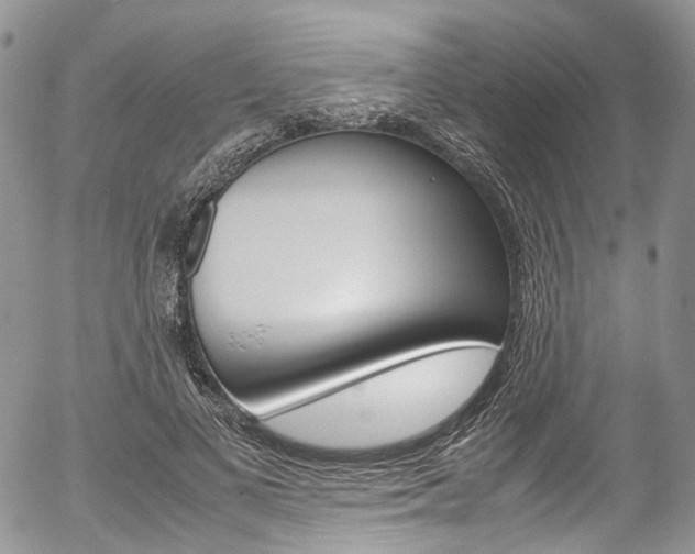 X0000054450693200507290952