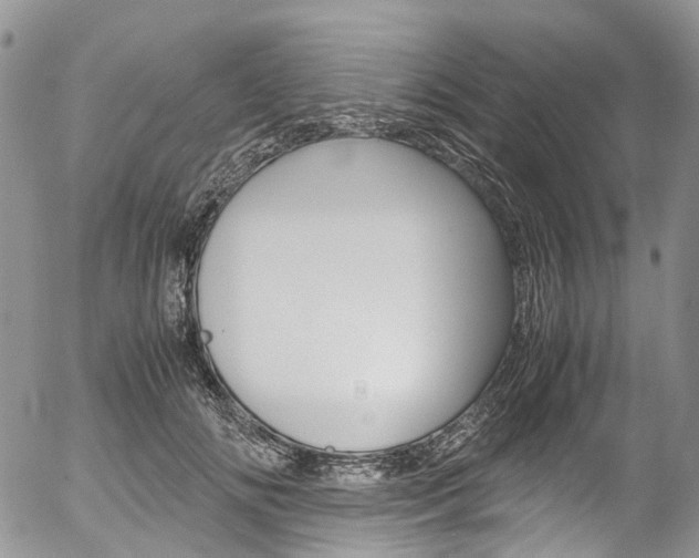 X0000054450702200507290951