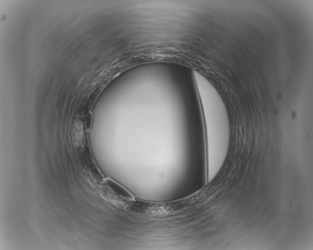 X0000054450704200507290951