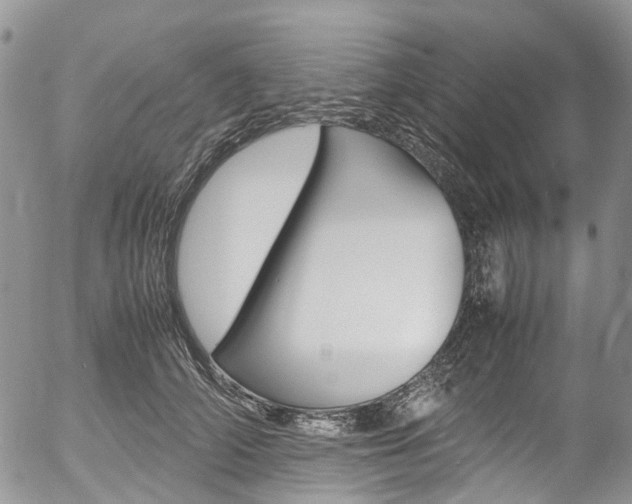 X0000054450706200507290951