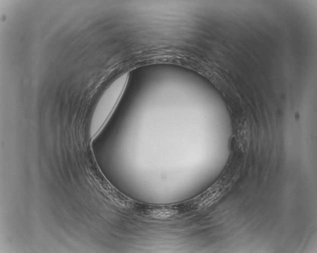 X0000054450708200507290951