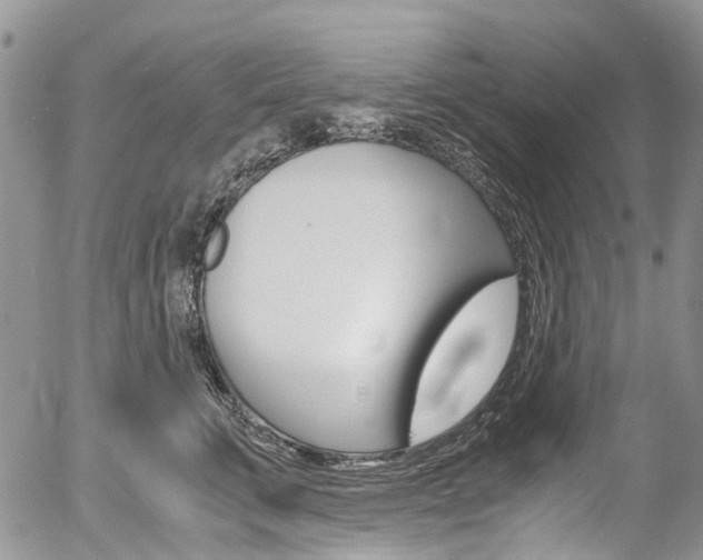X0000054450711200507290951