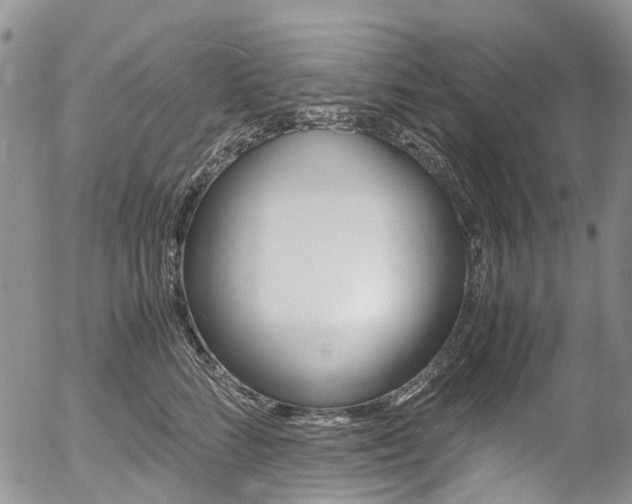 X0000054450712200507290951