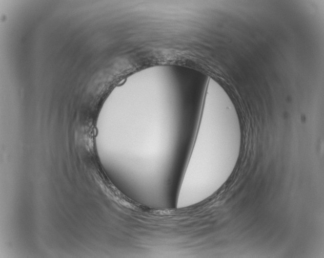 X0000054450719200507290951