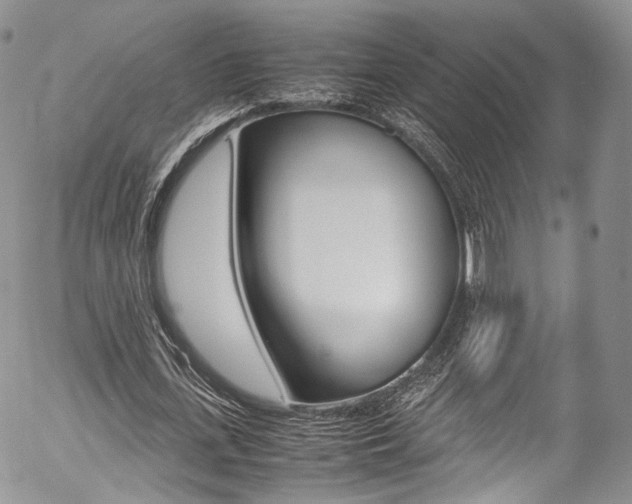 X0000054450723200507290950