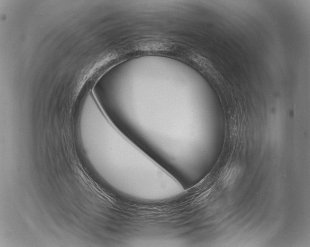 X0000054450727200507290950