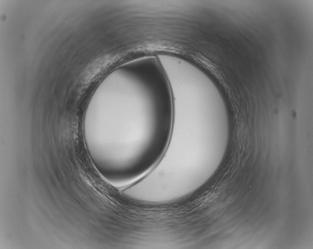 X0000054450732200507290950