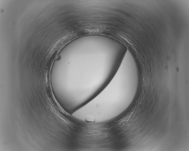 X0000054450733200507290951