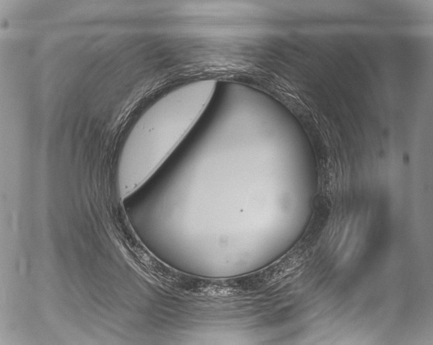X0000054450742200507290951