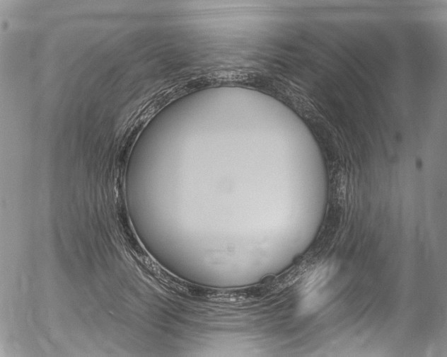 X0000054450746200507290951