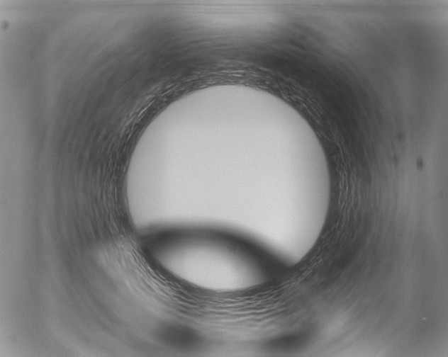 X0000054450750200507290951