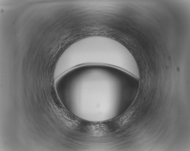 X0000054450752200507290951