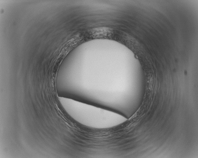 X0000054450753200507290951