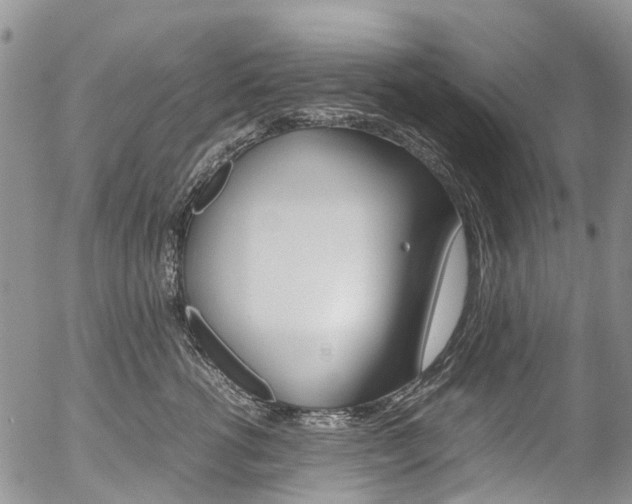 X0000054450762200507290951