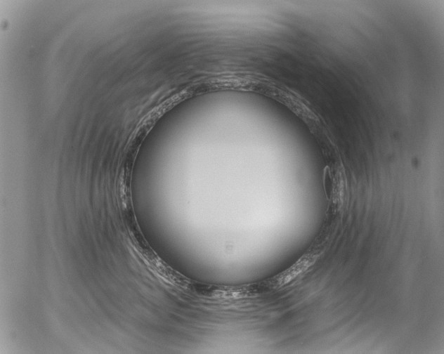 X0000054450764200507290951