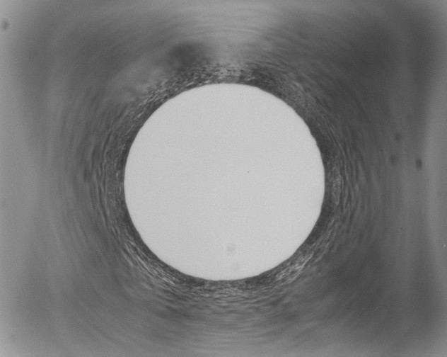 X0000054450769200507290950