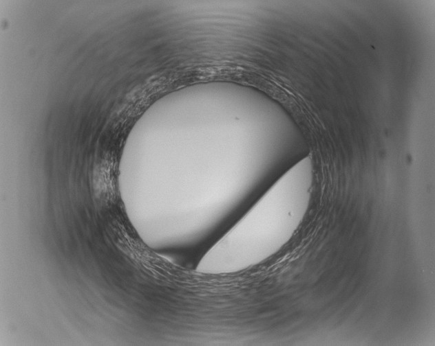X0000054450770200507290950