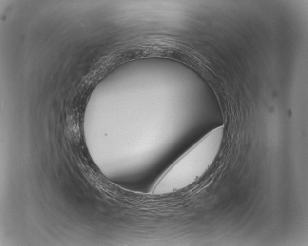 X0000054450771200507290950