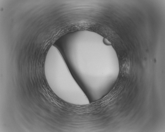X0000054450772200507290950