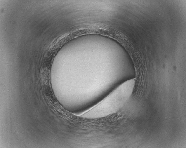 X0000054450773200507290950