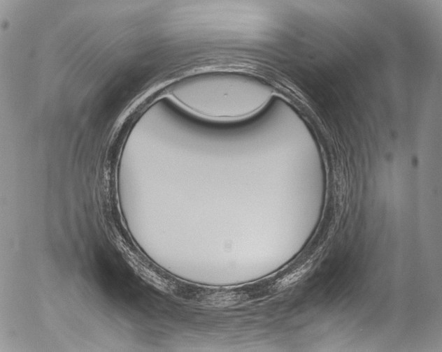 X0000054450779200507290950