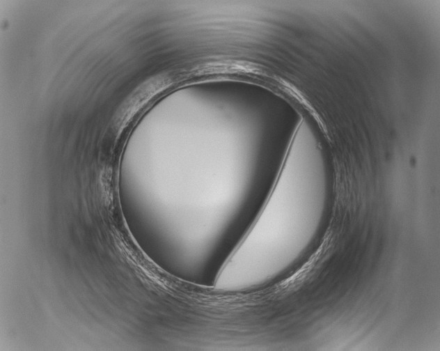 X0000054450786200507290950