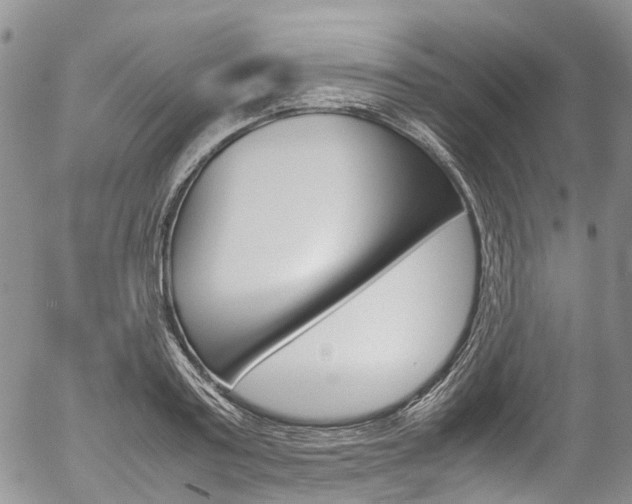 X0000054450795200507290950