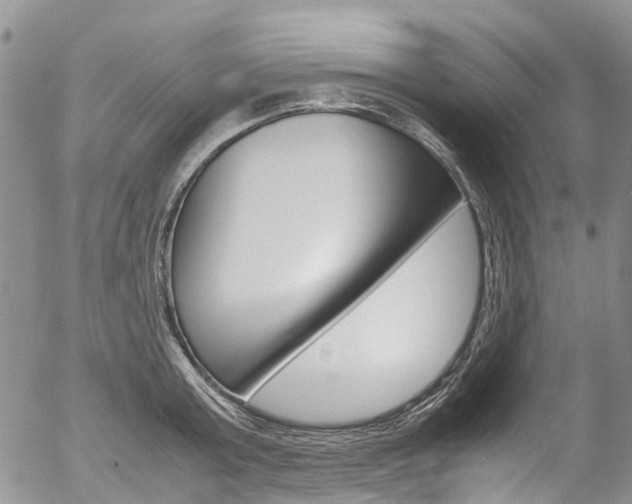 X0000054450803200507290950