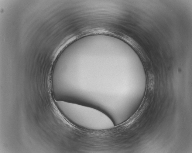 X0000054450806200507290950