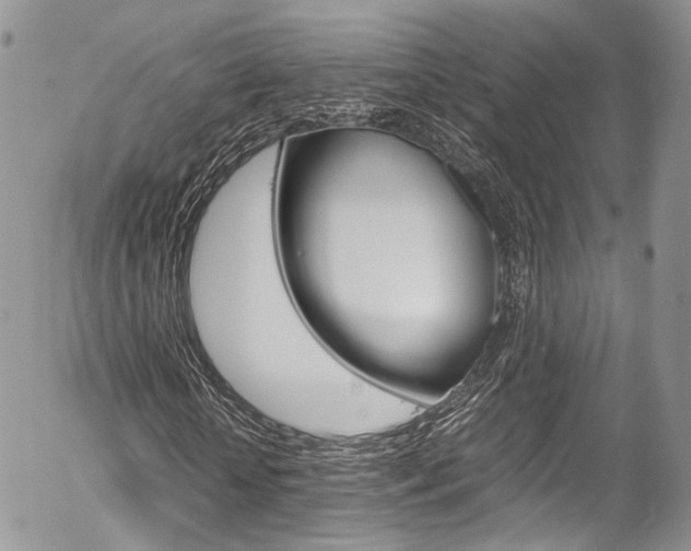 X0000054450818200507290949