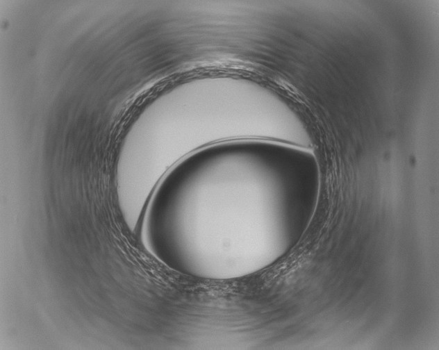 X0000054450822200507290949