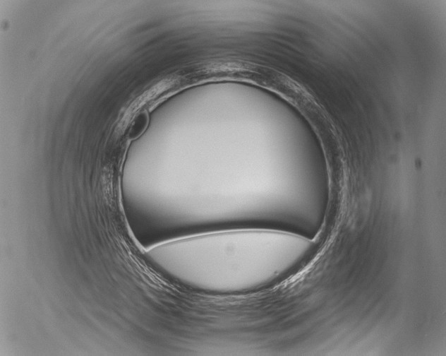 X0000054450825200507290949