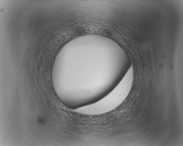 X0000054450865200507290949