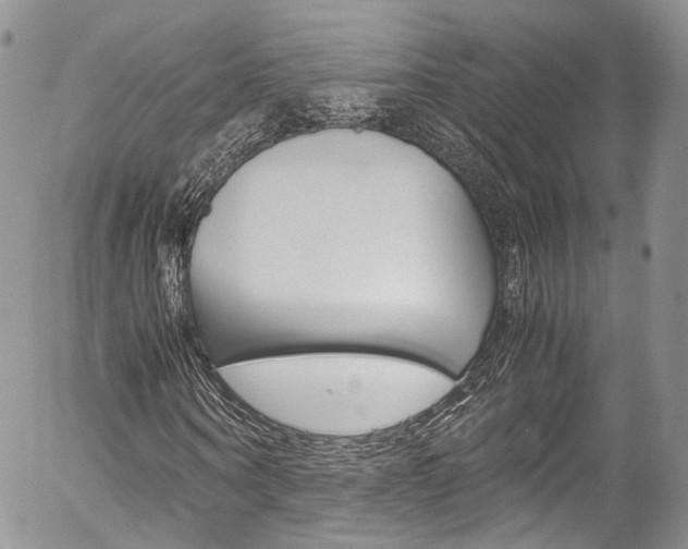 X0000054450866200507290949