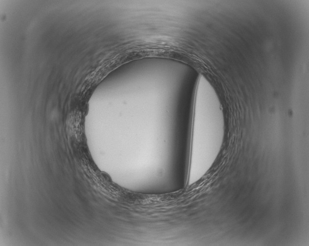 X0000054450867200507290949