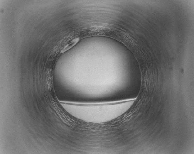 X0000054450868200507290949