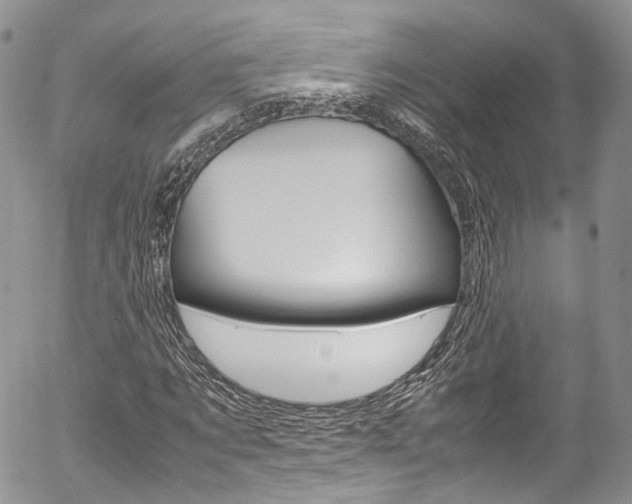X0000054450869200507290949
