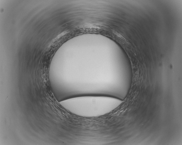 X0000054450870200507290949