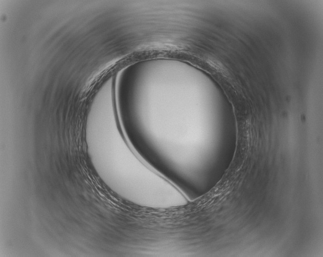X0000054450872200507290949