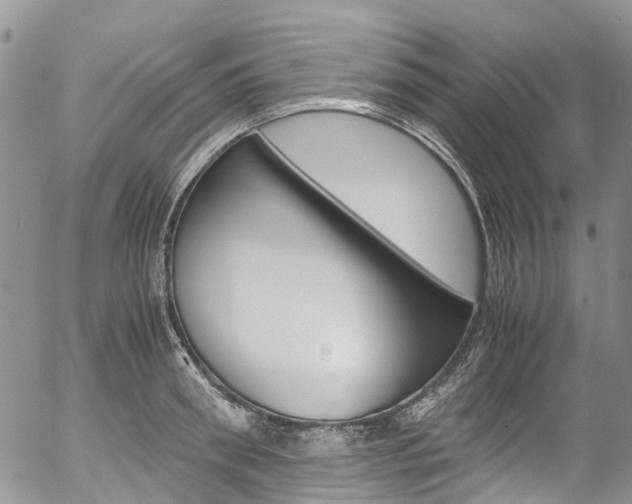 X0000054450898200507290948