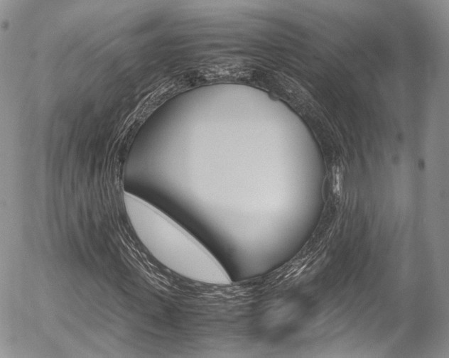 X0000054450915200507290947