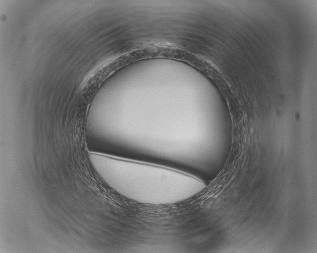X0000054450919200507290947
