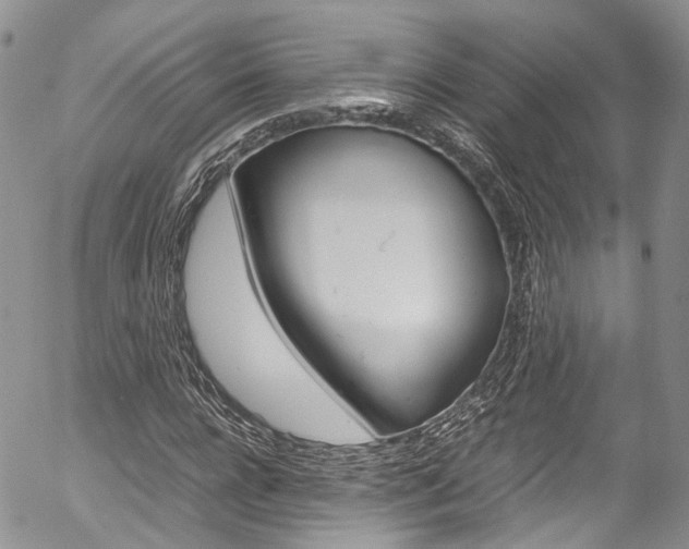 X0000054450920200507290947