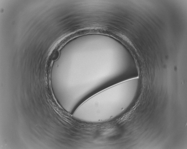 X0000054450927200507290947