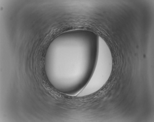 X0000054450961200507290947