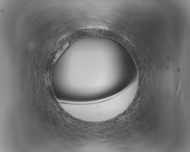 X0000054450965200507290947