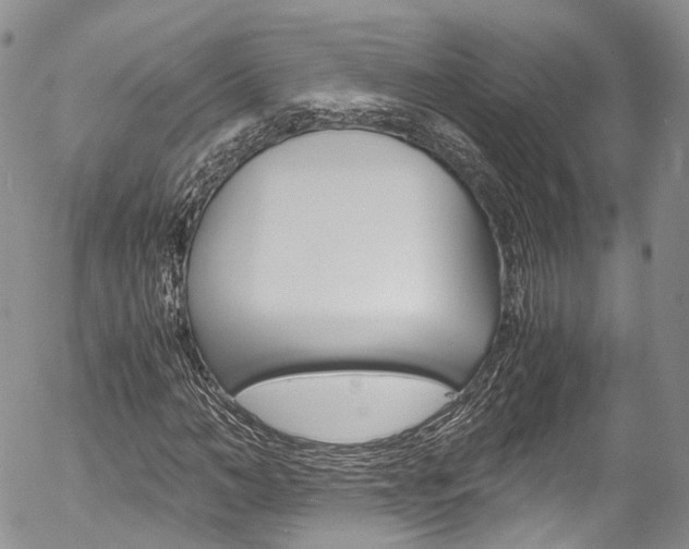 X0000054450966200507290947