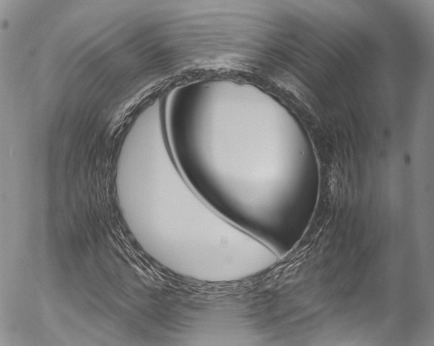 X0000054450968200507290947