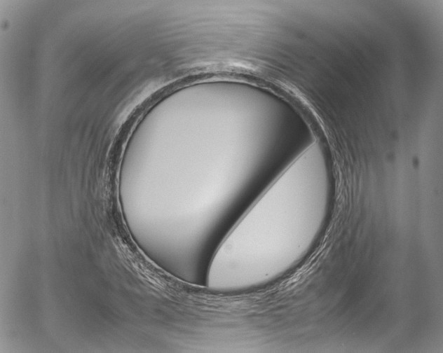 X0000054450975200507290947