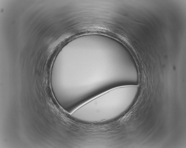 X0000054450979200507290947